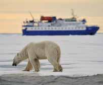 Expeditionskreuzfahrten - Norwegen, Arktis: Eisbärenexpedition nach Nordspitzbergen - Eisbär vor der MS Quest
